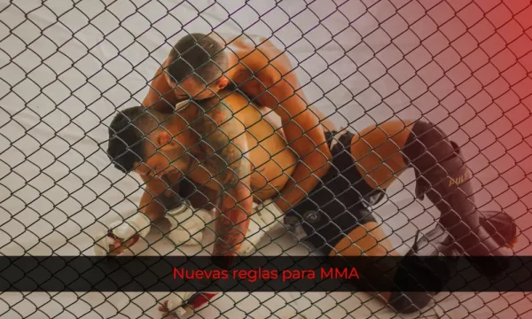 Nuevas reglas para MMA