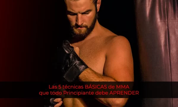 5 técnicas BÁSICAS de MMA que todo principiante debe aprender