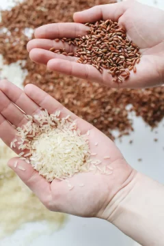 fortalece tus manos excavando arroz