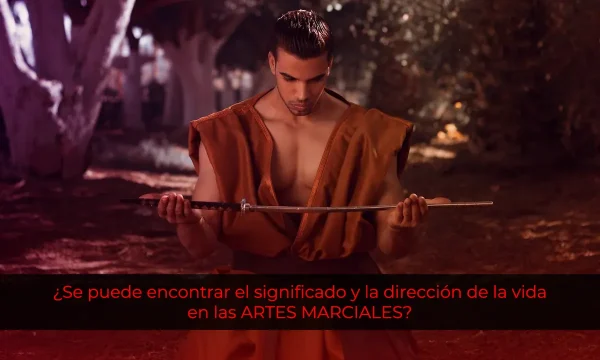 ¿Se puede encontrar el significado y la dirección de la vida en las artes marciales?