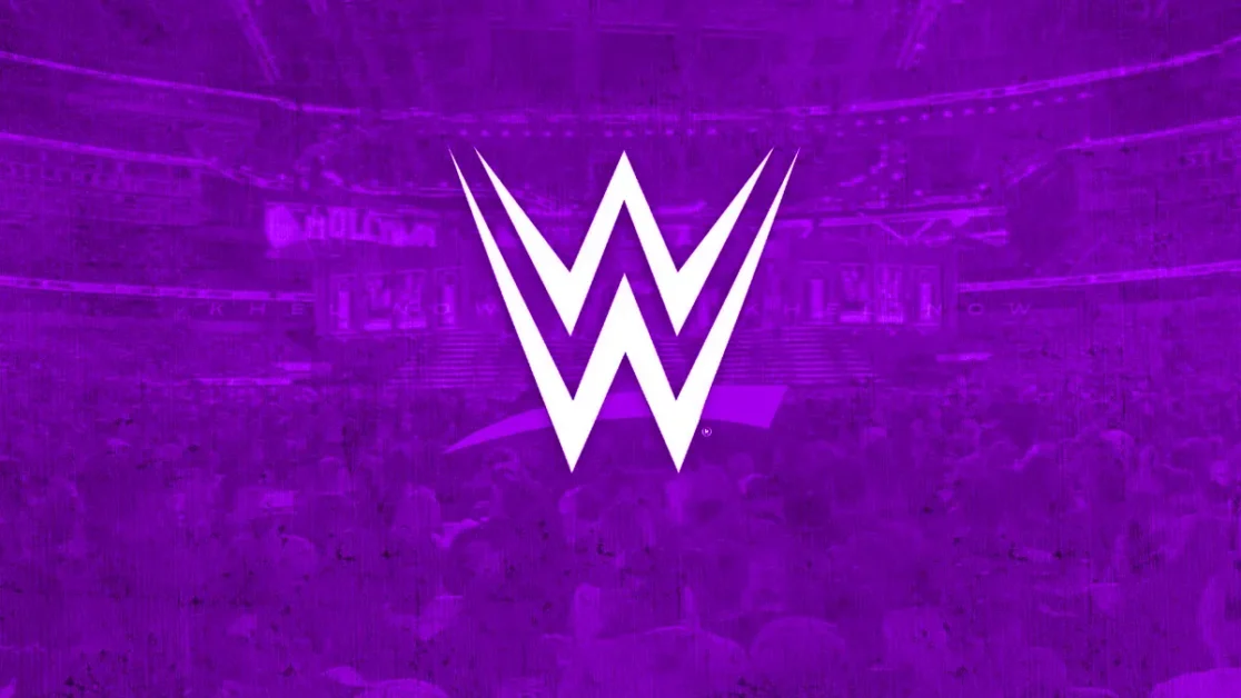 ¿Qué luchadores han sido comentaristas después de retirarse?