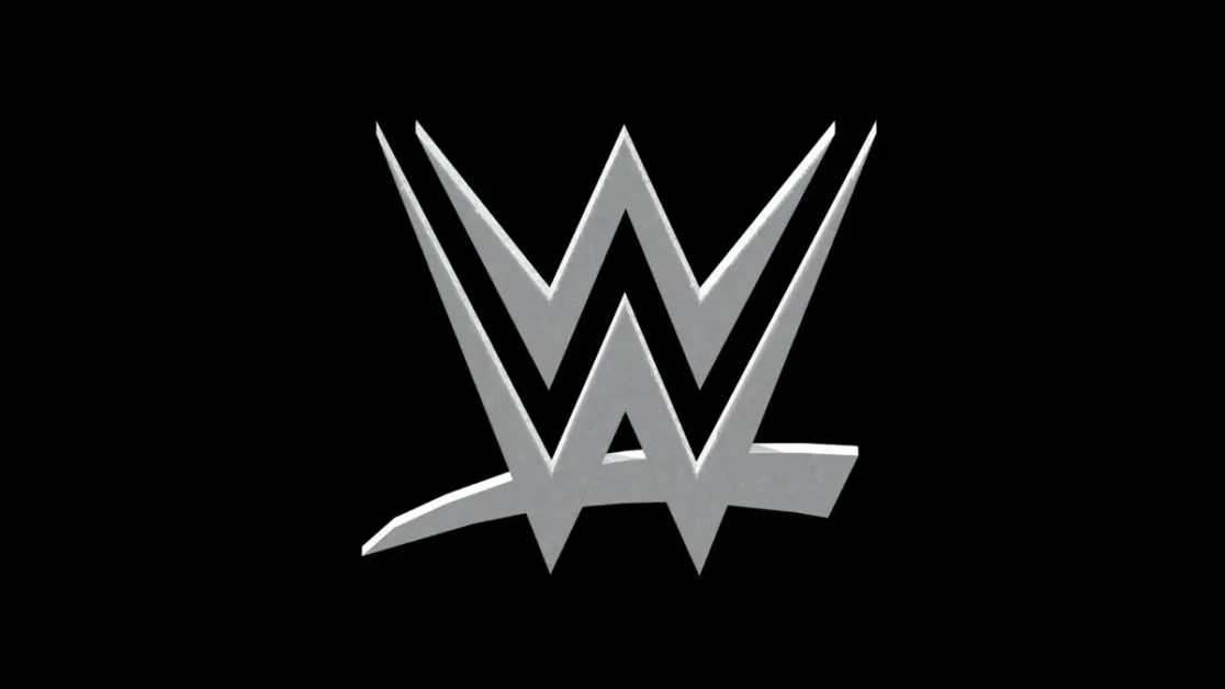 ¿Qué tipos de rivalidades existen en WWE?